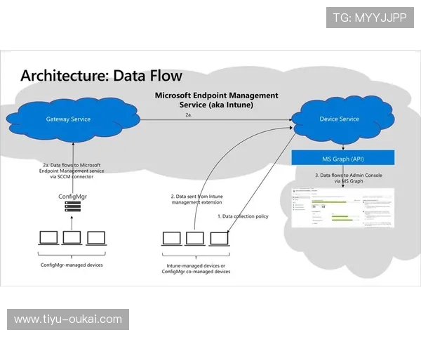 探索esball网址的安全性与用户体验分析 探索esball网址的安全性与用户体验分析